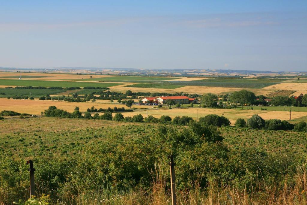 Wellness Hotel Happy Star Гнанице Экстерьер фото
